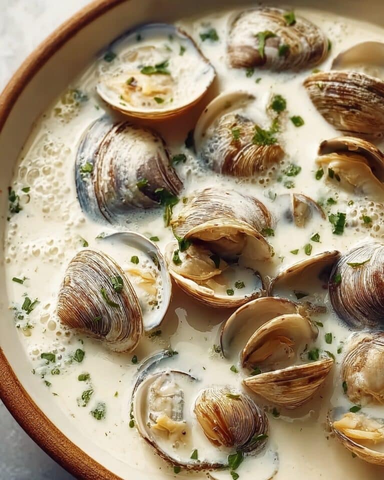 Oyster Stew Recipe
