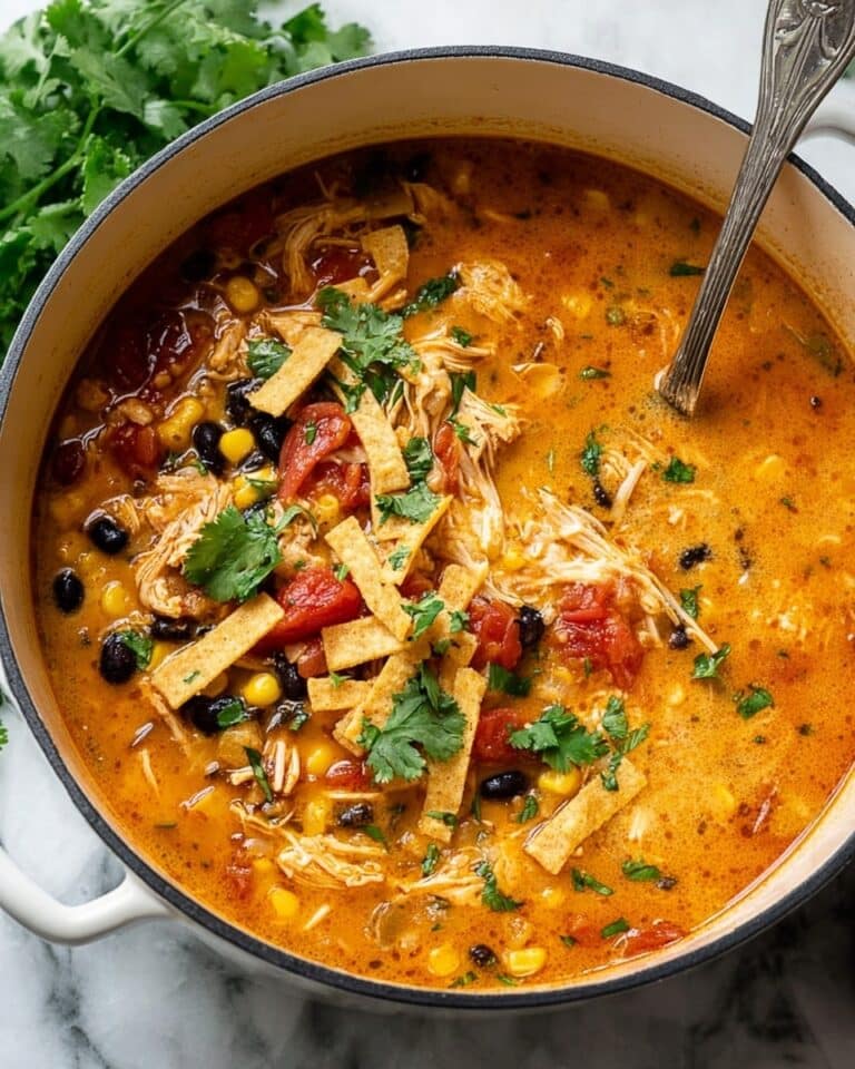 Creamy Chicken Tortilla Soup Recipe