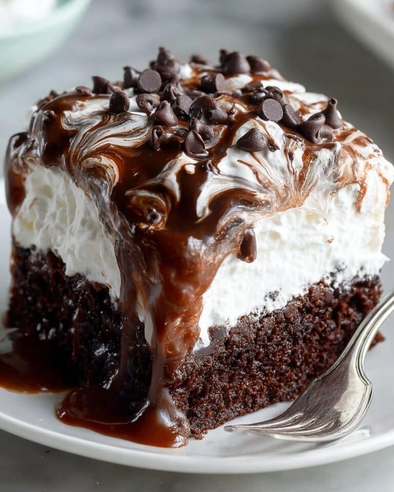 Best Chocolate Poke Cake with Marshmallow Recipe